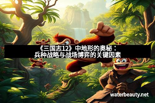 《三国志12》中地形的奥秘：兵种战略与战场博弈的关键因素